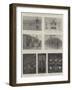 Coronation Decorations and Illuminations, London and the Provinces-Ralph Cleaver-Framed Giclee Print