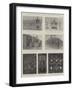 Coronation Decorations and Illuminations, London and the Provinces-Ralph Cleaver-Framed Giclee Print