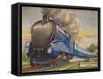 Framed Canvas