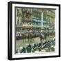 Coronation of King Edward VII of England (1841-1910), Indian Princes, London (England), 1901-Leon, Levy et Fils-Framed Photographic Print