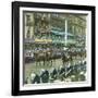 Coronation of King Edward VII of England (1841-1910), Indian Princes, London (England), 1901-Leon, Levy et Fils-Framed Photographic Print