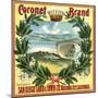 Coronet Brand - San Diego, California - Citrus Crate Label-Lantern Press-Mounted Art Print