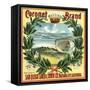 Coronet Brand - San Diego, California - Citrus Crate Label-Lantern Press-Framed Stretched Canvas