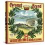 Coronet Brand - San Diego, California - Citrus Crate Label-Lantern Press-Stretched Canvas