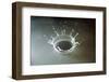 Coronet of droplets formed as a white coloured droplet falls into a shallow liquid-Nigel Cattlin-Framed Photographic Print