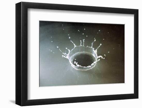 Coronet of droplets formed as a white coloured droplet falls into a shallow liquid-Nigel Cattlin-Framed Photographic Print