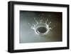 Coronet of droplets formed as a white coloured droplet falls into a shallow liquid-Nigel Cattlin-Framed Photographic Print