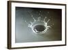 Coronet of droplets formed as a white coloured droplet falls into a shallow liquid-Nigel Cattlin-Framed Photographic Print