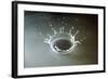 Coronet of droplets formed as a white coloured droplet falls into a shallow liquid-Nigel Cattlin-Framed Photographic Print