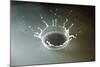 Coronet of droplets formed as a white coloured droplet falls into a shallow liquid-Nigel Cattlin-Mounted Photographic Print