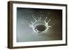 Coronet of droplets formed as a white coloured droplet falls into a shallow liquid-Nigel Cattlin-Framed Photographic Print