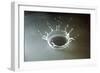 Coronet of droplets formed as a white coloured droplet falls into a shallow liquid-Nigel Cattlin-Framed Photographic Print