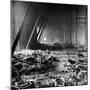 Corpses Litter Gardelegen Warehouse After SS Guards Burn Prisoners to Keep Them Out of Allied Hands-William Vandivert-Mounted Photographic Print
