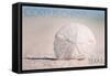 Corpus Christi, Texas - Sand Dollar and Beach-Lantern Press-Framed Stretched Canvas