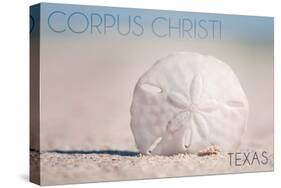 Corpus Christi, Texas - Sand Dollar and Beach-Lantern Press-Stretched Canvas