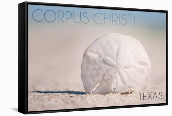 Corpus Christi, Texas - Sand Dollar and Beach-Lantern Press-Framed Stretched Canvas