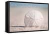 Corpus Christi, Texas - Sand Dollar and Beach-Lantern Press-Framed Stretched Canvas