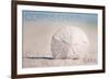 Corpus Christi, Texas - Sand Dollar and Beach-Lantern Press-Framed Art Print