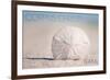 Corpus Christi, Texas - Sand Dollar and Beach-Lantern Press-Framed Premium Giclee Print