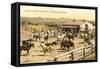 Corrals, Wickenburg, Arizona-null-Framed Stretched Canvas