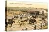 Corrals, Wickenburg, Arizona-null-Stretched Canvas