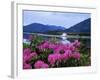 Corran Lighthouse and Loch Linnhe, Highland Region, Scotland, United Kingdom-Kathy Collins-Framed Photographic Print