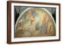 Brown Frame