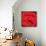 Corrida - Red Bullfight Sign-null-Mounted Art Print displayed on a wall