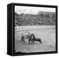 Corrida-null-Framed Stretched Canvas