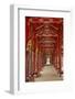 Corridor in the Forbidden Purple City, Imperial City, Hue, Vietnam-David Wall-Framed Photographic Print