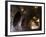 Corridor off Which Monks' Living Quarters were Carved in Cave 2-Jane Sweeney-Framed Photographic Print