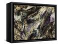 Canvas Black