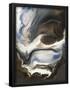 Essential Black
