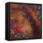 Corrosion-Lee Campbell-Framed Stretched Canvas
