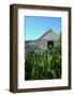 Corrugated iron house-Natalie Tepper-Framed Photo