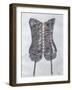 Corset, 1990-Alan Byrne-Framed Giclee Print