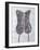 Corset, 1990-Alan Byrne-Framed Giclee Print