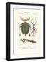 Black Frame