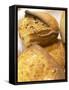 Corsica Style Bread, France-Per Karlsson-Framed Stretched Canvas