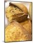Corsica Style Bread, France-Per Karlsson-Mounted Photographic Print