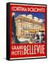 Cortina-Dolomiti, Grand Hotel Bellevue-null-Framed Stretched Canvas