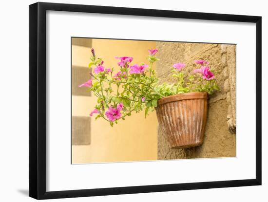 Cortona, Italy. Morning Glories growing in a vase-shaped pot on a stone wall.-Janet Horton-Framed Photographic Print