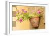 Cortona, Italy. Morning Glories growing in a vase-shaped pot on a stone wall.-Janet Horton-Framed Photographic Print