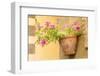 Cortona, Italy. Morning Glories growing in a vase-shaped pot on a stone wall.-Janet Horton-Framed Photographic Print