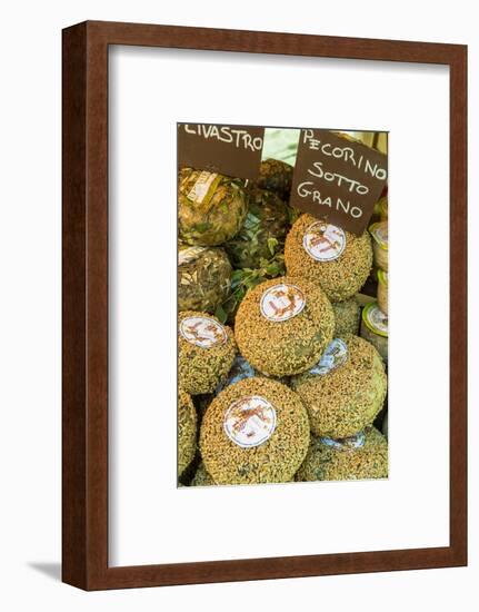 Cortona, Italy. Pecorino Sotto Vinaccia cheese rounds aged under straw.-Janet Horton-Framed Photographic Print