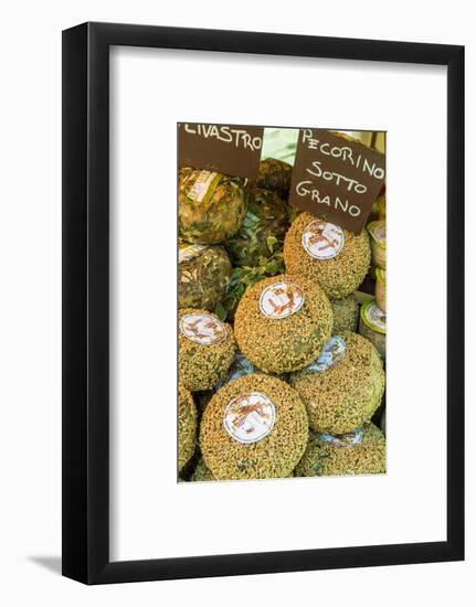 Cortona, Italy. Pecorino Sotto Vinaccia cheese rounds aged under straw.-Janet Horton-Framed Photographic Print