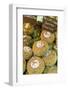 Cortona, Italy. Pecorino Sotto Vinaccia cheese rounds aged under straw.-Janet Horton-Framed Photographic Print