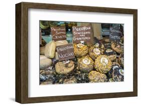 Cortona, Italy. Pecorino Sotto Vinaccia cheese rounds aged under straw.-Janet Horton-Framed Photographic Print