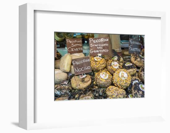 Cortona, Italy. Pecorino Sotto Vinaccia cheese rounds aged under straw.-Janet Horton-Framed Photographic Print