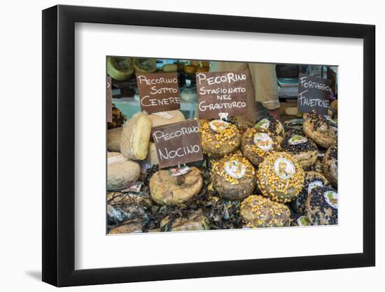 Cortona, Italy. Pecorino Sotto Vinaccia cheese rounds aged under straw.-Janet Horton-Framed Photographic Print